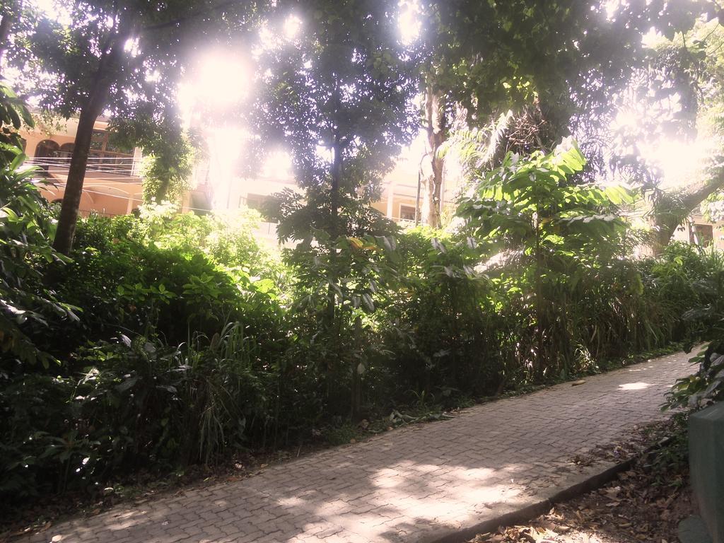 Forest View Homestay Kandy Exterior foto